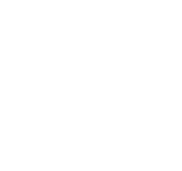 Bremsenservice bei Premio